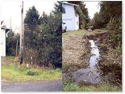 Before and after residential drainage clearing