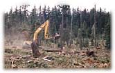 Forestry Equipment