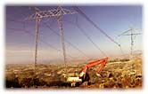 Transmission Line Vegetation Management