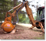 Stump Grinding in Action