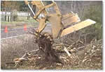 Stump Extraction