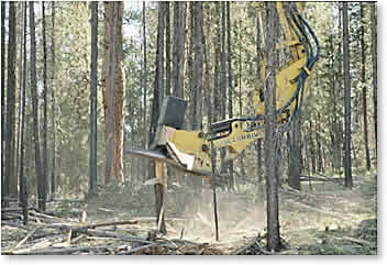 Mastication equipment mulching small diameter tree