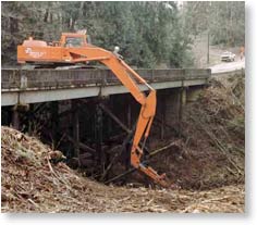 clearing vegetation beneath bruidge