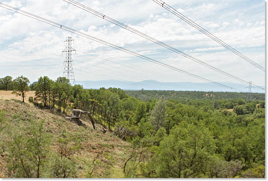 wide shot of clearing vegetation under utility lines