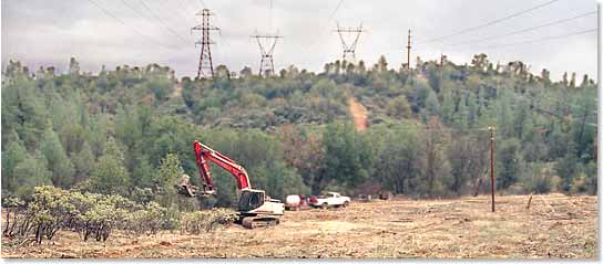 managing vegetation under a transmission line