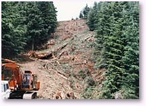 Land clearing equipment in action