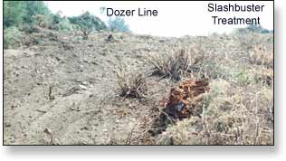 Dozer fireline supplemented with a "SLASHBUSTER" treatment.