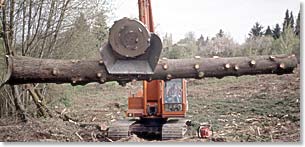 Slashbuster with material handler moving a large log