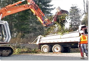 slashbuster brush cutter loading a dumptruck with branches and  debris