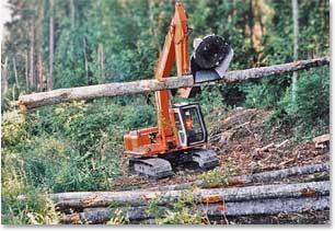 material handler piling logs on roadside