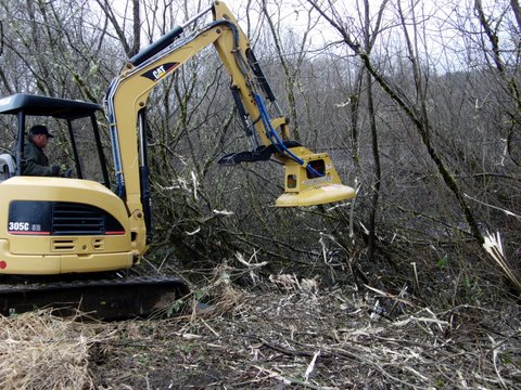 mulching small trees