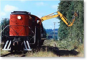 clearing vegetation on railroad