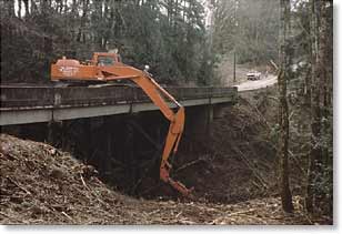 Vegetation management around bridges