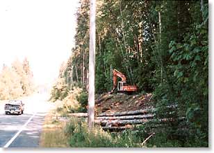 piling logs along roadside
