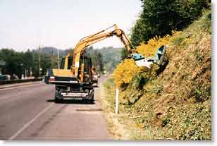 Cutting scotch broom