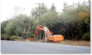 Clearing vegetation under powerline