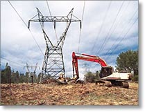 Clearing vegetation under a 100kV transmission line