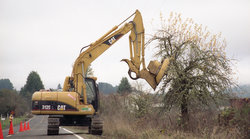 emarld PUD vegetation management on roadside